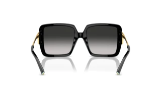 Bagside Tiffany TF4212U (80013C)