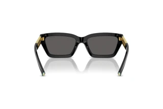 Bagside Tiffany TF4213 (8001S4)