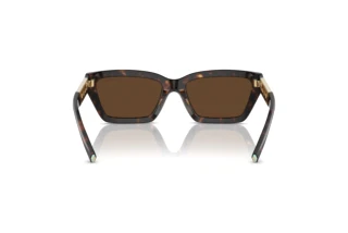 Bagside Tiffany TF4213 (80153G)