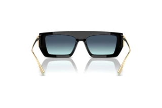 Bagside Tiffany TF4214U (83429S)