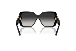 Bagside Tiffany TF4219 (80013C)