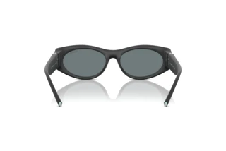 Bagside Tiffany TF4222U (84136G)