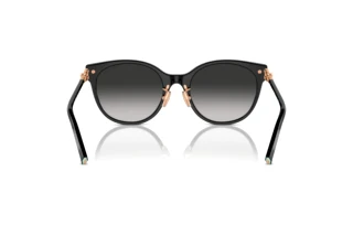 Bagside Tiffany TF4223D (80013C)