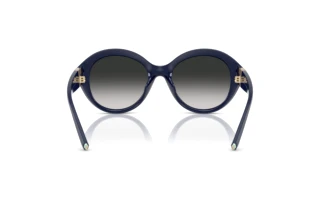 Bagside Tiffany TF4227BU (83963C)