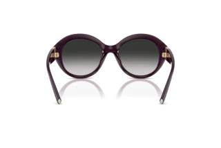 Bagside Tiffany TF4227BU (84273C)