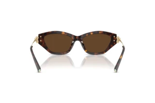 Bagside Tiffany TF4231U (80153G)