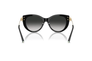 Bagside Tiffany TF4232 (80013C)