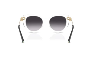 Bagside Tiffany TF4232 (80473C)