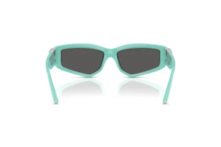 Bagside Tiffany TF4234U (8388S4)