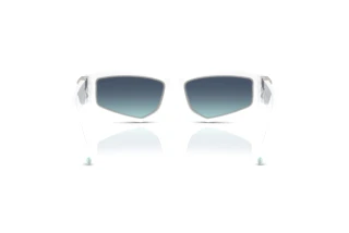 Bagside Tiffany TF4234U (83929S)