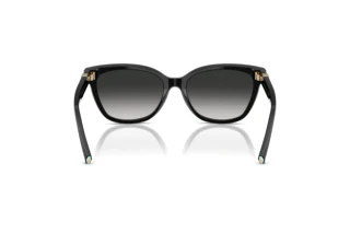 Bagside Tiffany TF4237B (80013C)