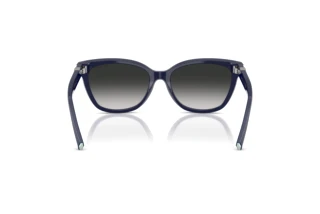 Bagside Tiffany TF4237B (83963C)