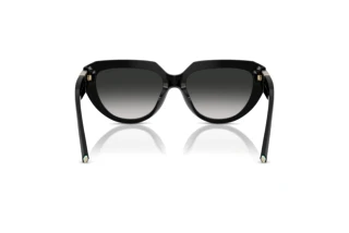 Bagside Tiffany TF4238U (80013C)