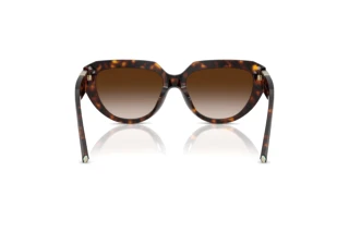 Bagside Tiffany TF4238U (80153B)