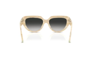 Bagside Tiffany TF4238U (84313C)