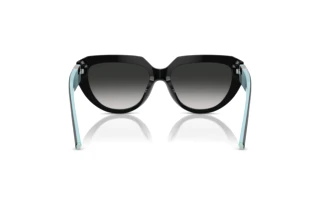 Bagside Tiffany TF4238U (84653C)