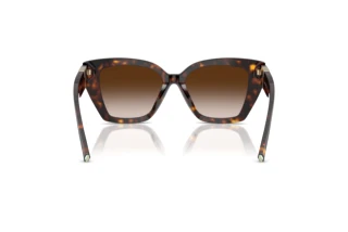 Bagside Tiffany TF4239U (80153B)