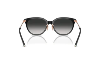 Bagside Tiffany TF4243D (80013C)