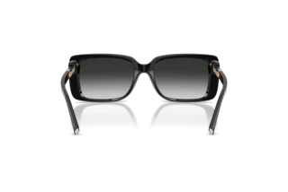 Bagside Tiffany TF4249 (80013C)