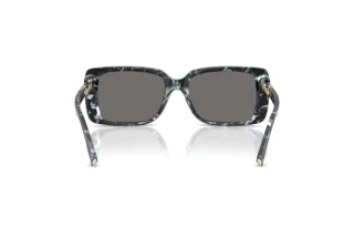 Bagside Tiffany TF4249 (842881)