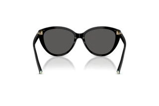 Bagside Tiffany TF4251 (8001S4)