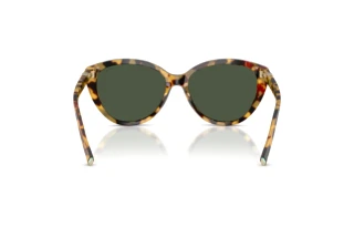 Bagside Tiffany TF4251 (80649A)