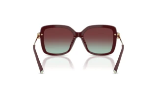 Bagside Tiffany TF4252B (8389V5)