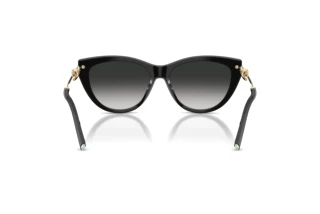 Bagside Tiffany TF4253 (80013C)