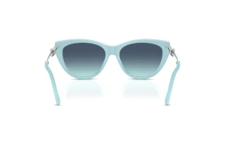 Bagside Tiffany TF4253 (80559S)