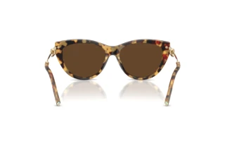 Bagside Tiffany TF4253 (80643G)