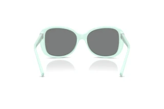 Bagside Tiffany TF4257U (845087)