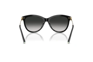 Bagside Tiffany TF4258BU (80013C)