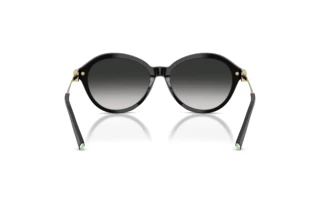 Bagside Tiffany TF4259 (80013C)