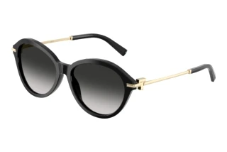 Forfra Tiffany TF4259 (80013C)