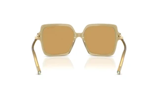 Bagside Tiffany TF4260U (846173)