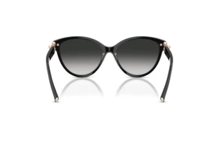 Bagside Tiffany TF4261 (80013C)