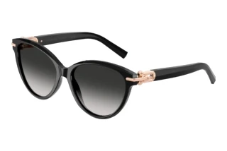 Forfra Tiffany TF4261 (80013C)