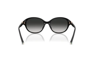 Bagside Tiffany TF4263D (80013C)