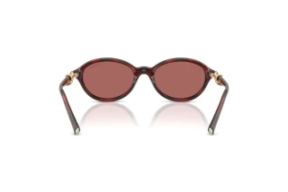 Bagside Tiffany TF4266U (847269)