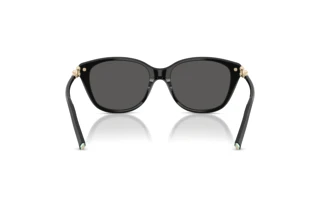 Bagside Tiffany TF4267 (8001S4)