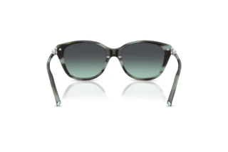 Bagside Tiffany TF4267 (84432G)