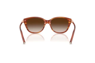 Bagside Tiffany TF4267 (84693B)
