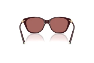 Bagside Tiffany TF4267 (847069)