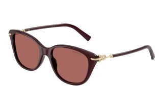 Forfra Tiffany TF4267 (847069)