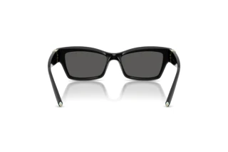 Bagside Tiffany TF4269U (8001S4)