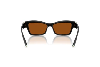 Bagside Tiffany TF4269U (847673)