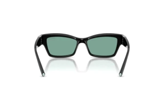 Bagside Tiffany TF4269U (847782)