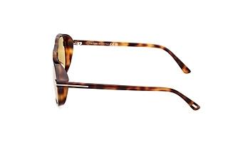 Sidevisning Tom Ford GUILLAUME (FT1208 - 53E)