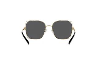 Bagside Tory Burch TY6097 (331687)
