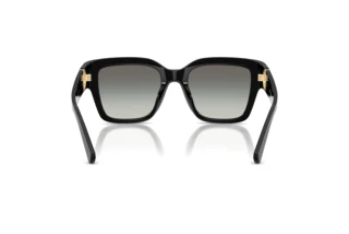 Bagside Tory Burch TY7228U (170911)